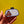 Have you pooped today? 💩 Sticker
