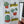 Hand holding a card with cactus and succulent illustrations and text that reads 