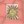Happy Birthday, Sunshine • Greeting Card