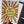 Happy Birthday, Sunshine • Greeting Card